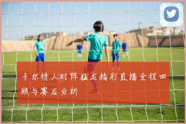 卡尔特人对阵猛龙精彩直播全程回顾与赛后分析