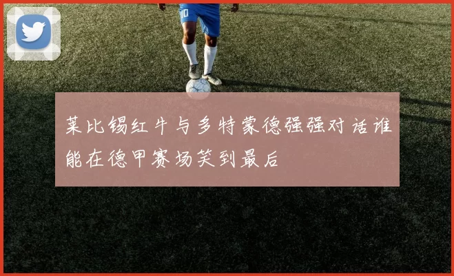 莱比锡红牛与多特蒙德强强对话谁能在德甲赛场笑到最后