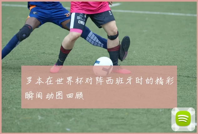 罗本在世界杯对阵西班牙时的精彩瞬间动图回顾
