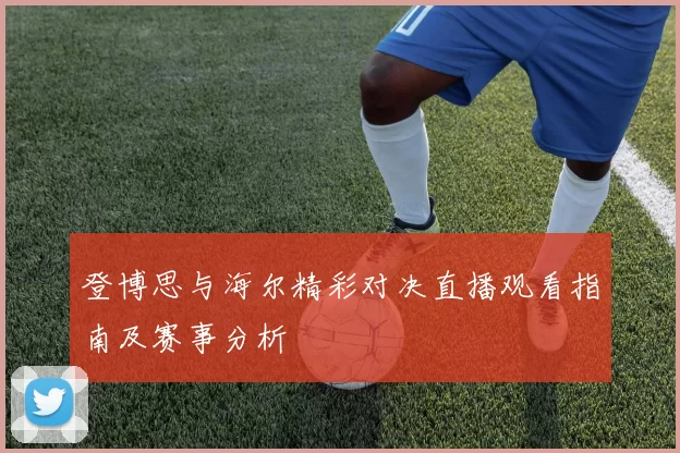 登博思与海尔精彩对决直播观看指南及赛事分析